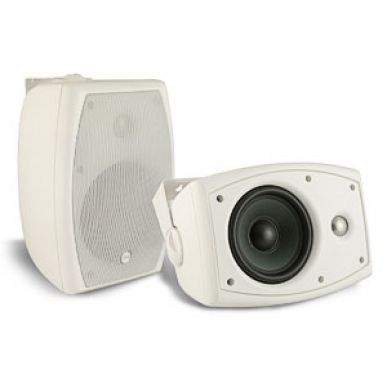 Настенная акустика CVGAUDIO ODF508TW